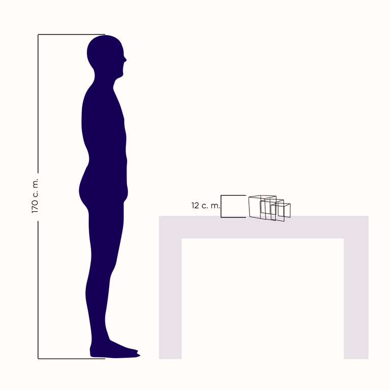 Grapas clásicas de acrílico transparente - imagen 3